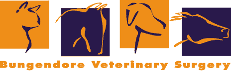 Bungendore Veterinary Surgery